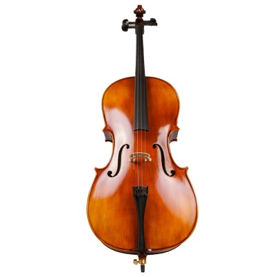 Solid Wood Matte Flat Popular professional Handmade Cello TL012